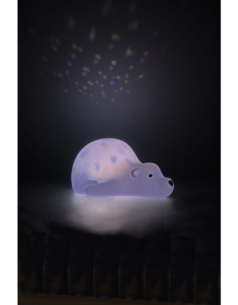 Flow - projector Björn