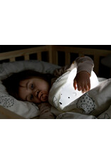 Flow - projector Björn