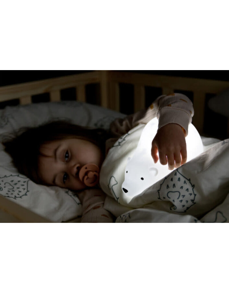 Flow - projector Björn