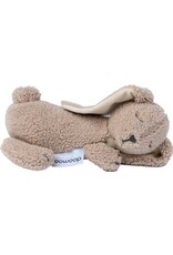 Doomoo Snoogy bunny biscuit - Zacht warmtekussen tegen krampjes