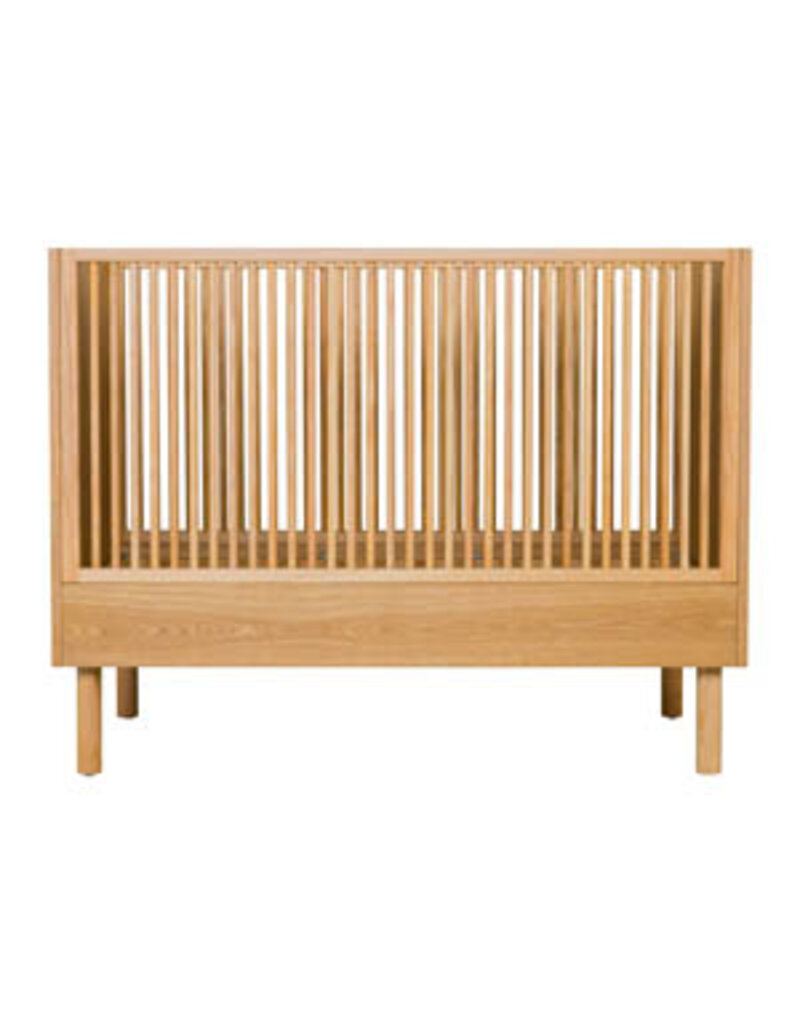 Quax - Hai No Ki - Ash wood meegroeibed 120-60cm