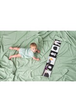 Taf Toys Taf Toys - Urban Garden Pram Book - contrast/kleur