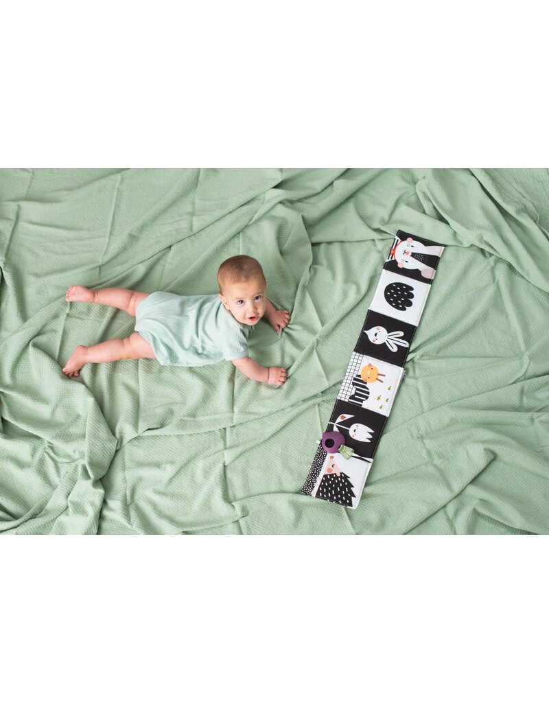 Taf Toys Taf Toys - Urban Garden Pram Book - contrast/kleur