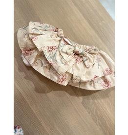 Camellia Camellia- bloomer met burgundy flowers