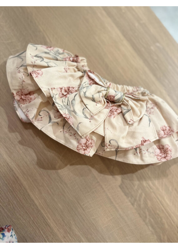 Camellia Camellia- bloomer met burgundy flowers