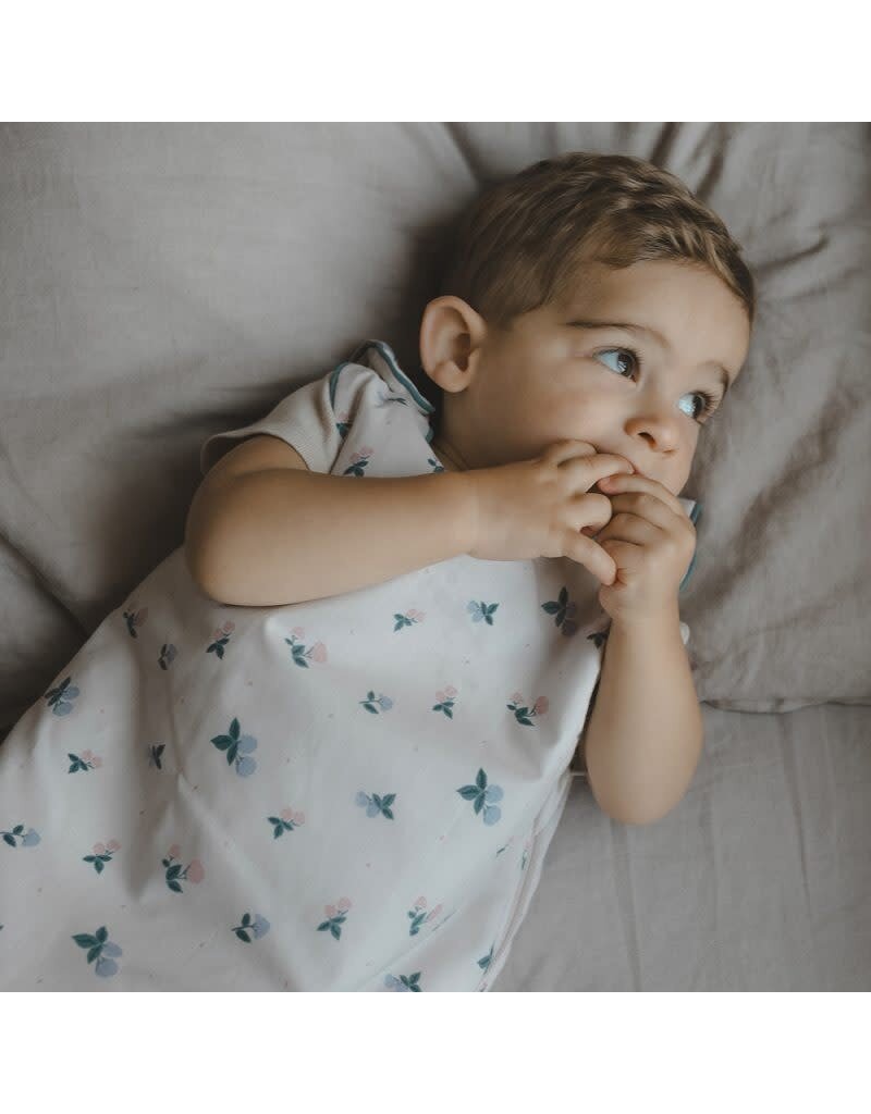 Maison Charlotte Slaapzak -Batignolles - 0-6 m (winter) - 2 tog