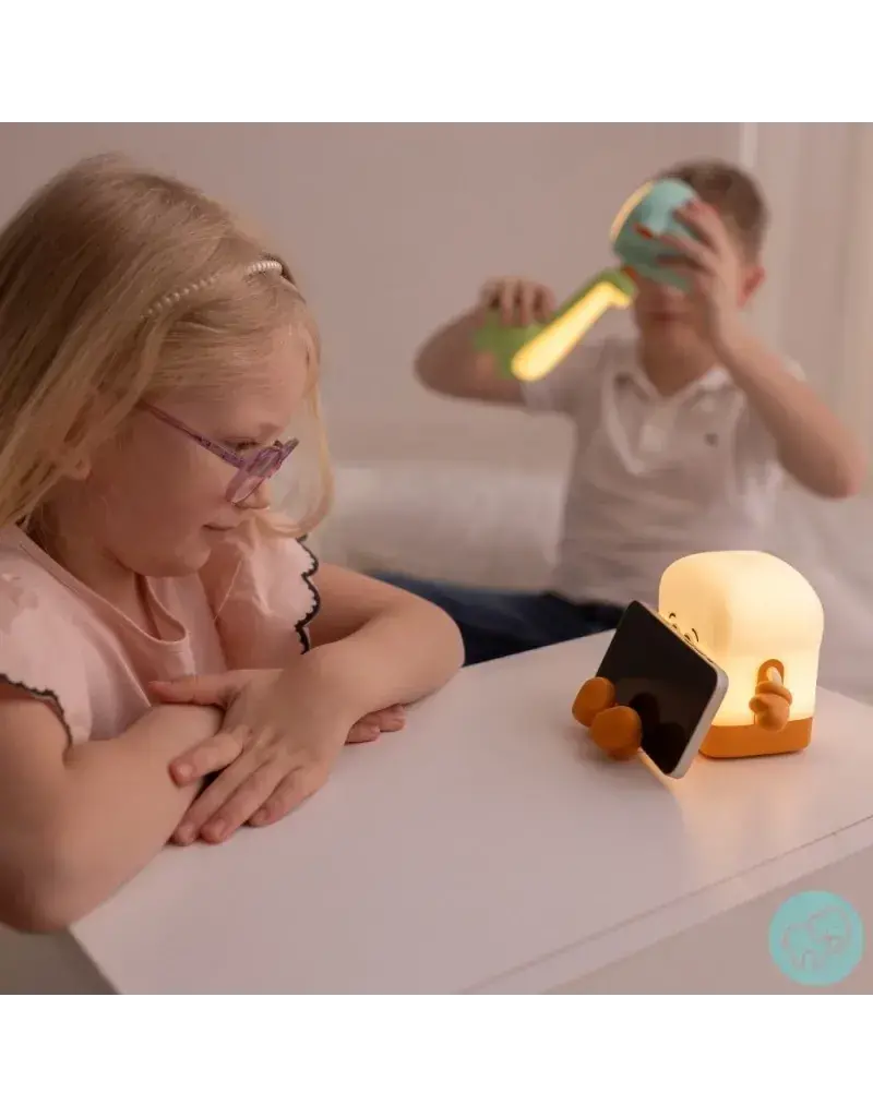 Mary's Mary's nachtlampje - Dinosaurus