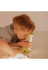 Mary's Mary's nachtlampje - Dinosaurus