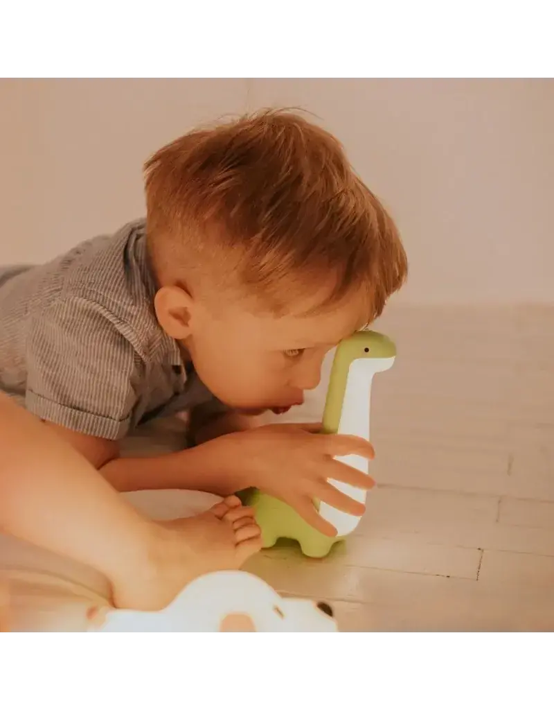 Mary's Mary's nachtlampje - Dinosaurus