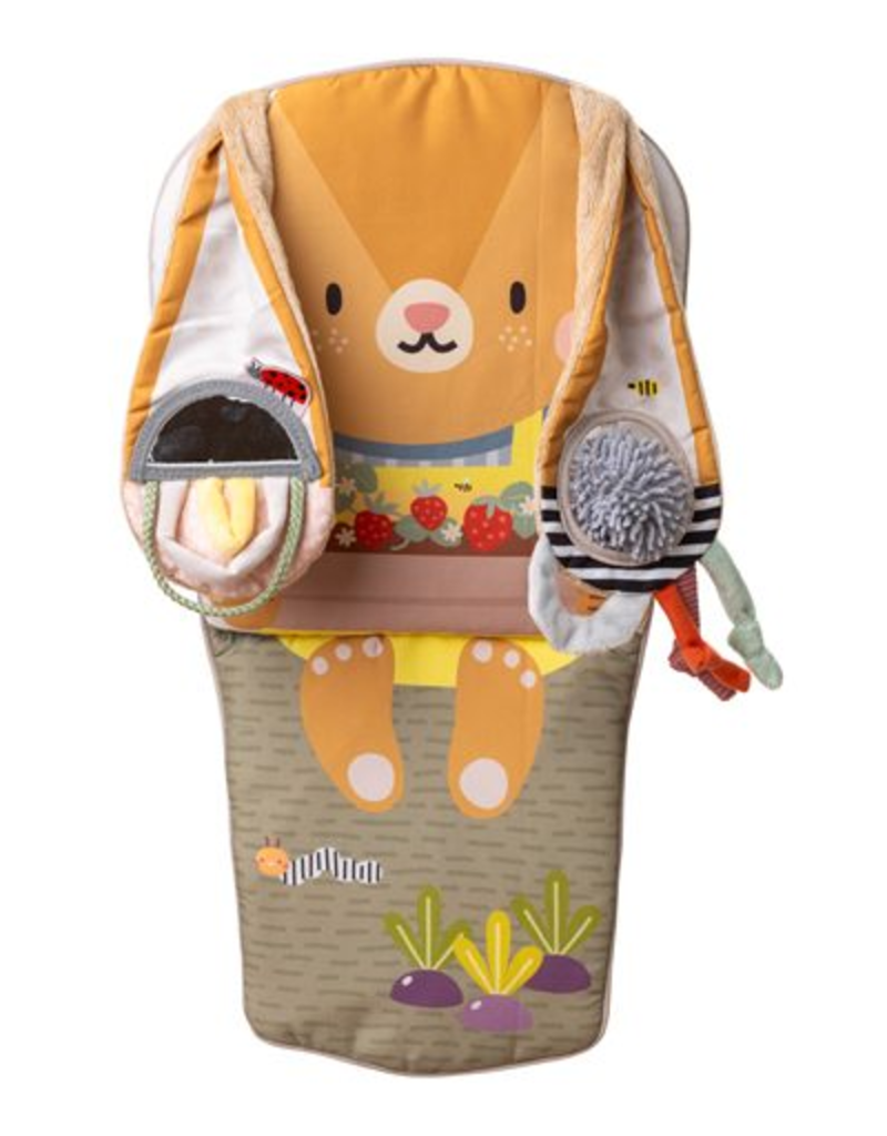 Taf Toys Taf toys - bunny play en kick auto speelgoed