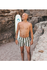 Salted Stories - Zwembroek brede groene streep - Papa
