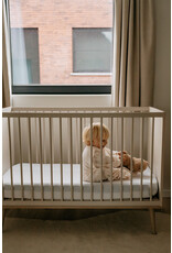 AeroSleep Aerosleep - Sleep Safe Pack - Evolution Duo 60x120 cm Matras+Protector