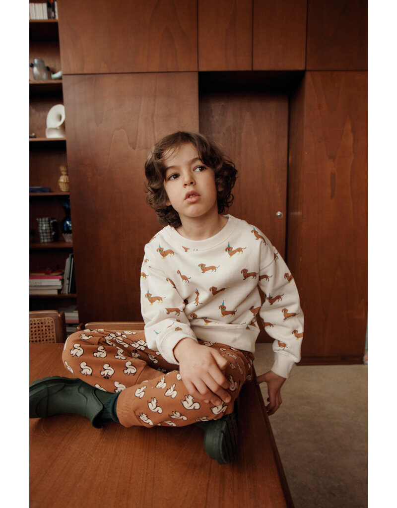 Emile & Ida Emile & Ida - Trui teckels