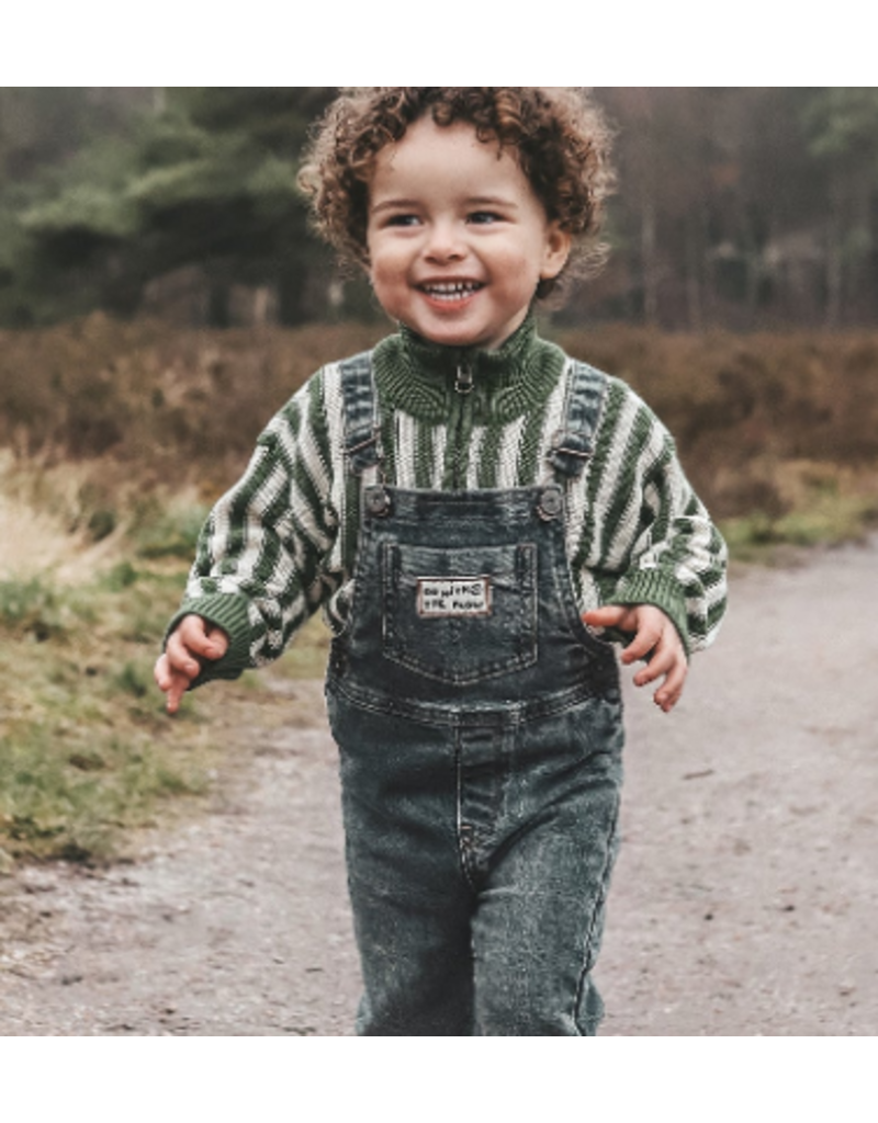 Your Wishes Your wishes - getreepte trui beige/ groen met halve rits