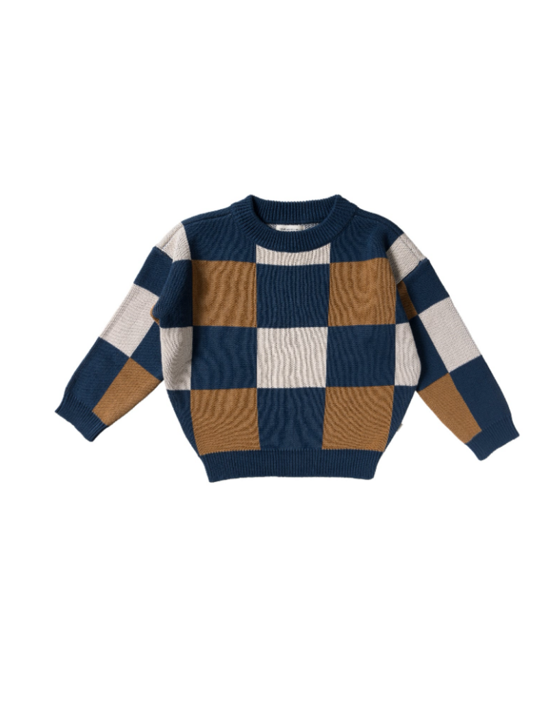 Your Wishes your wishes - geruite trui donker blauw/beige