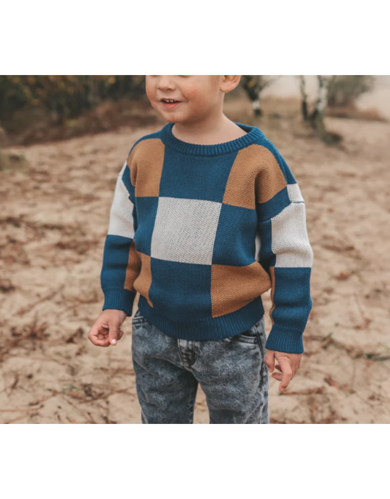 Your Wishes your wishes - geruite trui donker blauw/beige