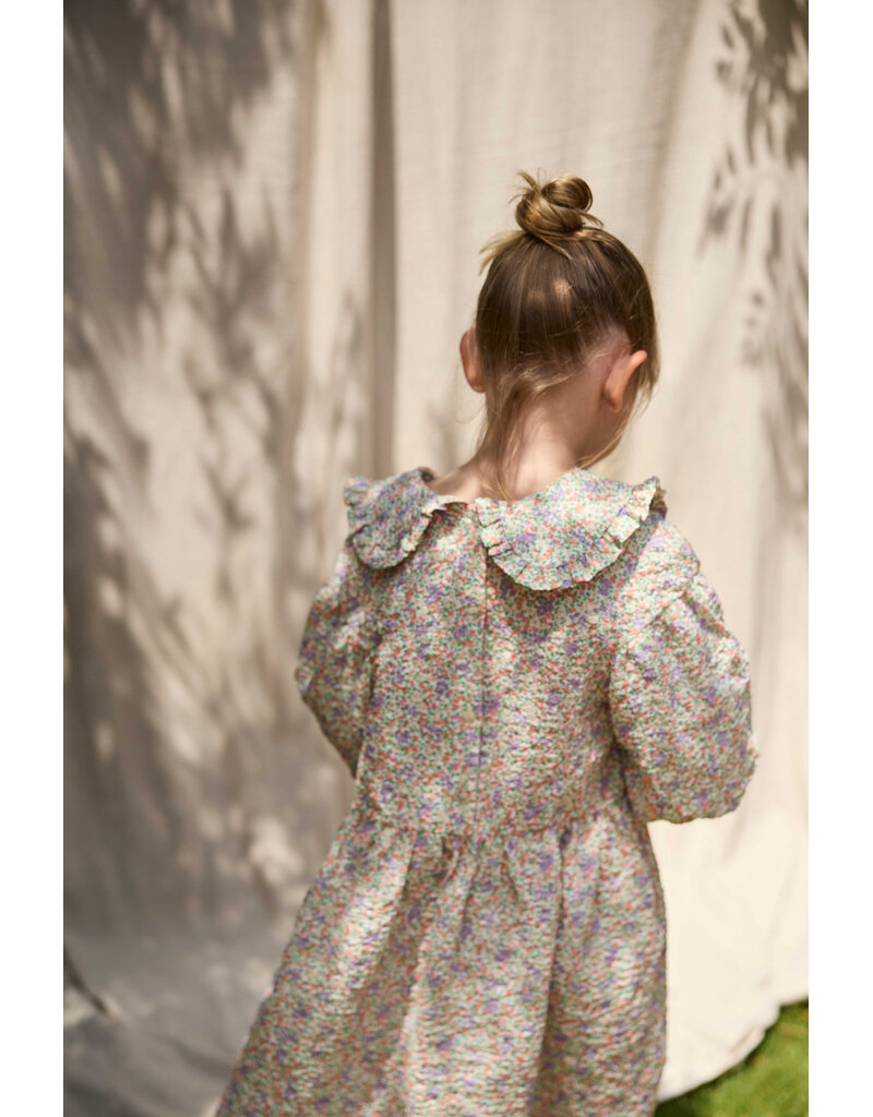 Cozmo Cozmo - Jurk Clove - multi