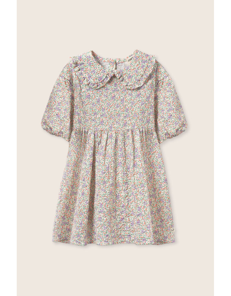 Cozmo Cozmo - Jurk Clove - multi