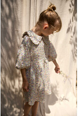 Cozmo Cozmo - Jurk Clove - multi