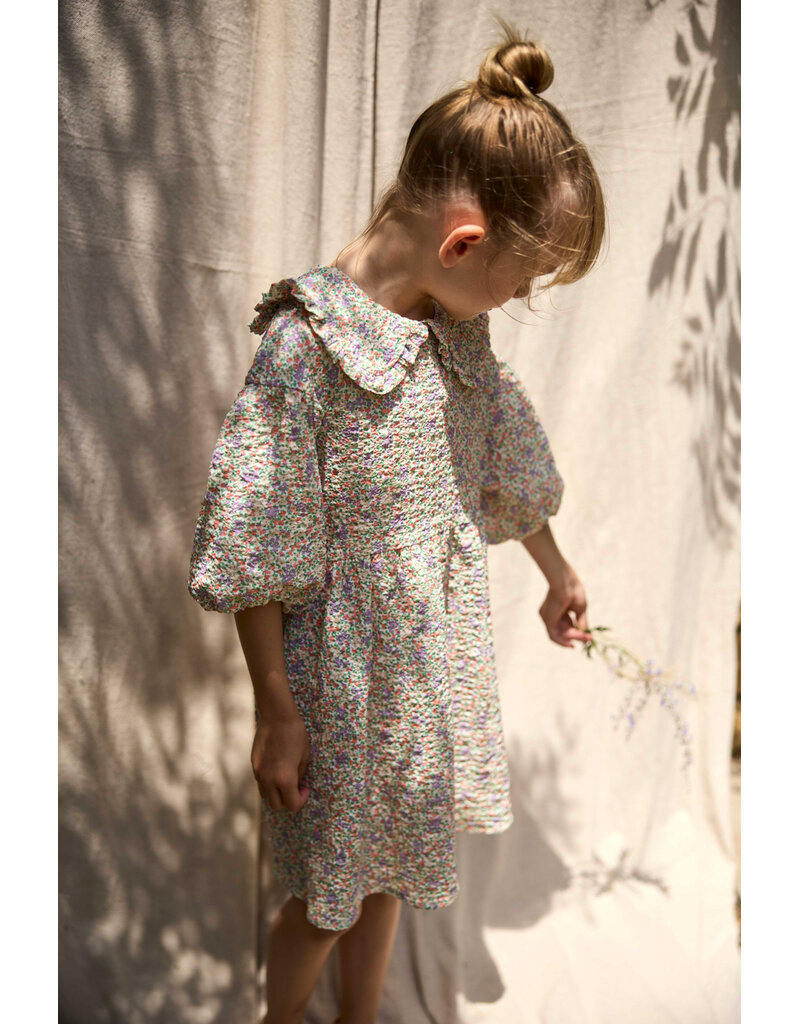 Cozmo Cozmo - Jurk Clove - multi