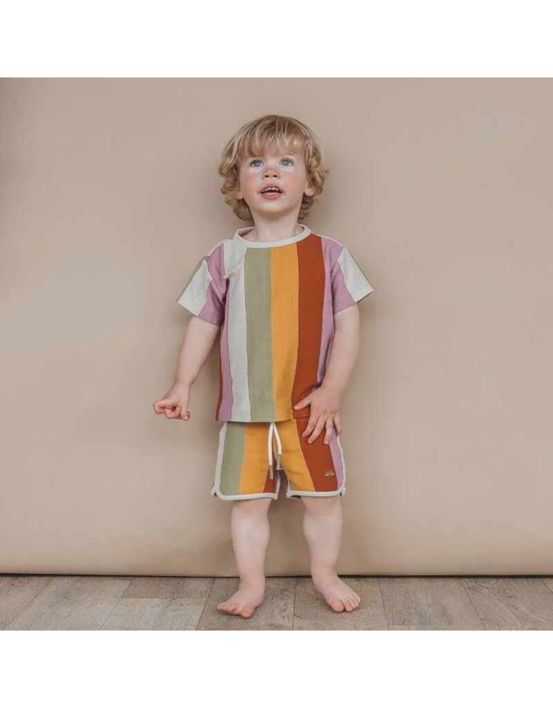 Salted Stories - Spons Multi Stripe