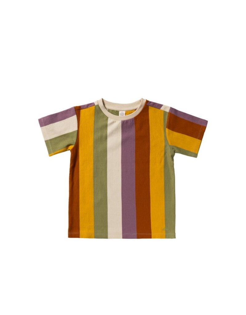 Salted Stories - Spons Multi Stripe