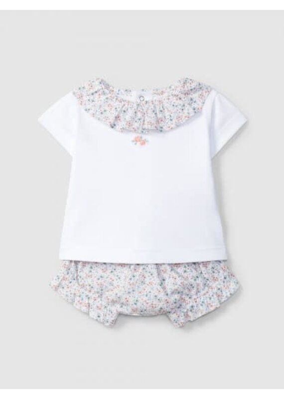 Laranjinha Laranjinha - set flowers