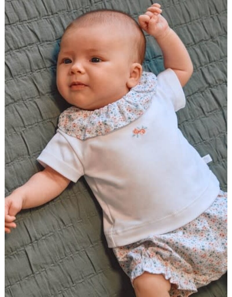 Laranjinha Laranjinha - set flowers