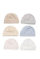 living nature Living nature - muts Cyriel camel