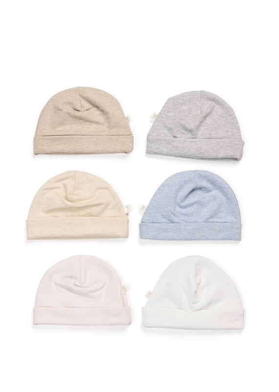 living nature Living nature - muts Cyriel camel