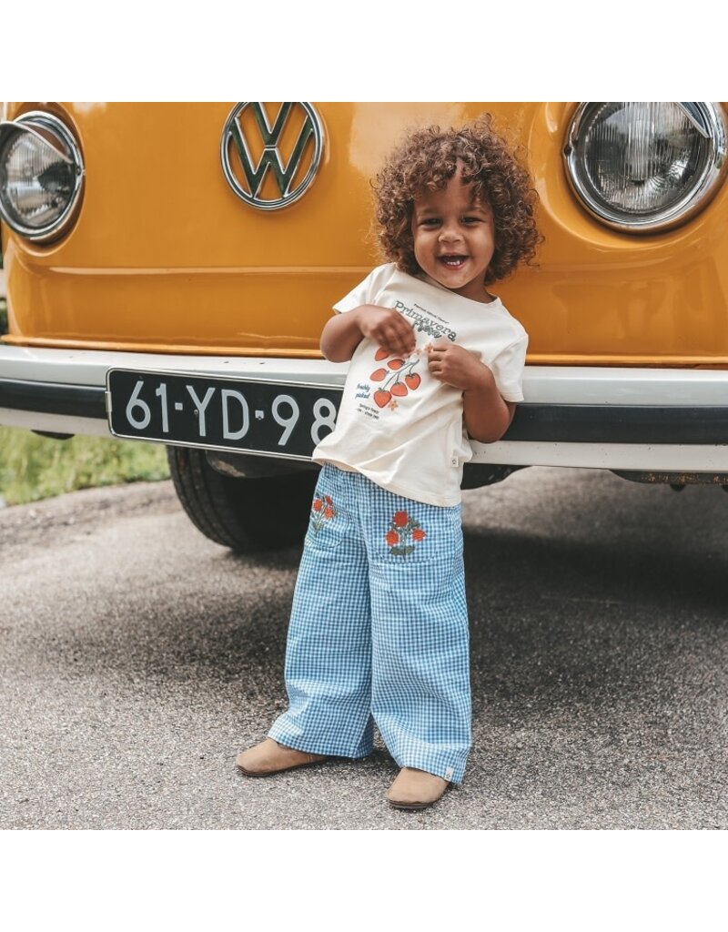 Your Wishes Your wishes - vichy bleu broek