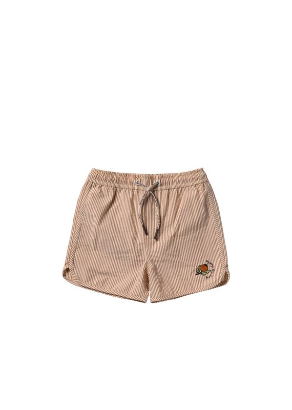 Salted Stories-seersucker-swim shorts-bombay