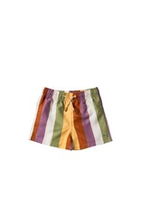 Salted stories - multi stripe zwemshort