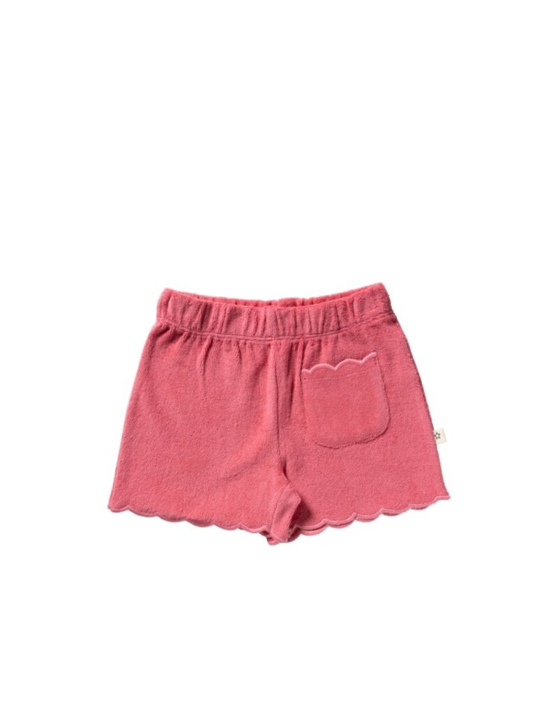 Your Wishes Your Wishes - terry short (roos)