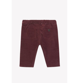 Tartine & Chocolat Tartine et chocolat - broek bordeaux corduroy