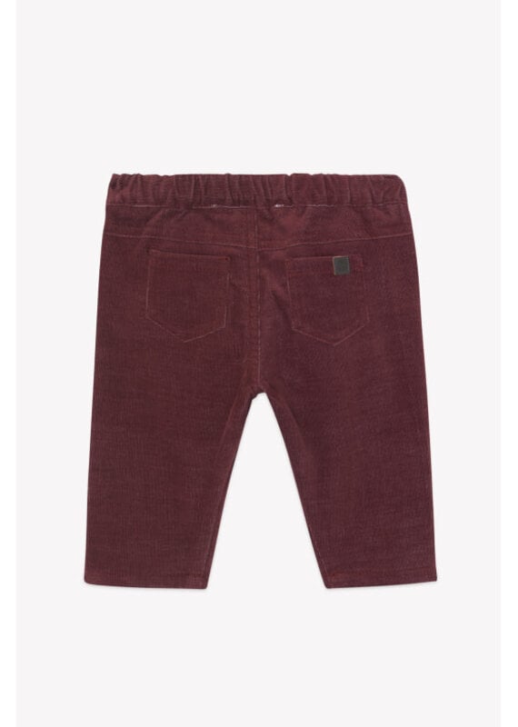 Tartine & Chocolat Tartine et chocolat - broek bordeaux corduroy
