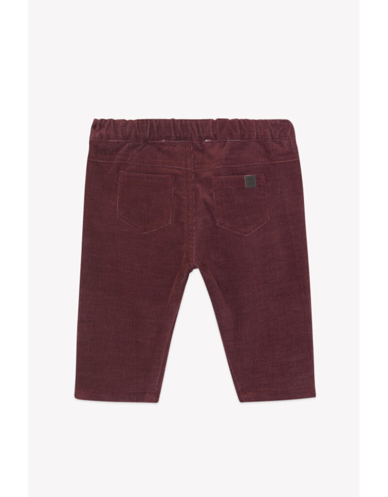 Tartine & Chocolat Tartine et chocolat - broek bordeaux corduroy