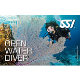 Open Water Diver Cursus