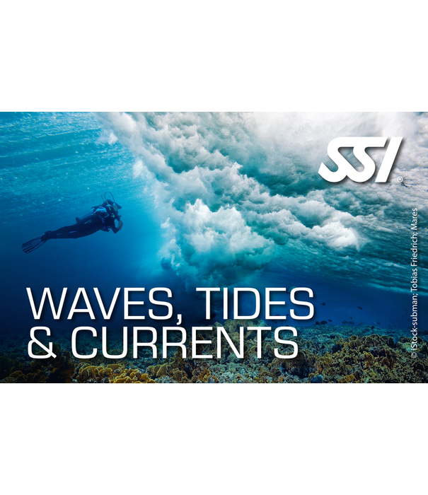 The Wave SSI Waves, Tides and Currents
