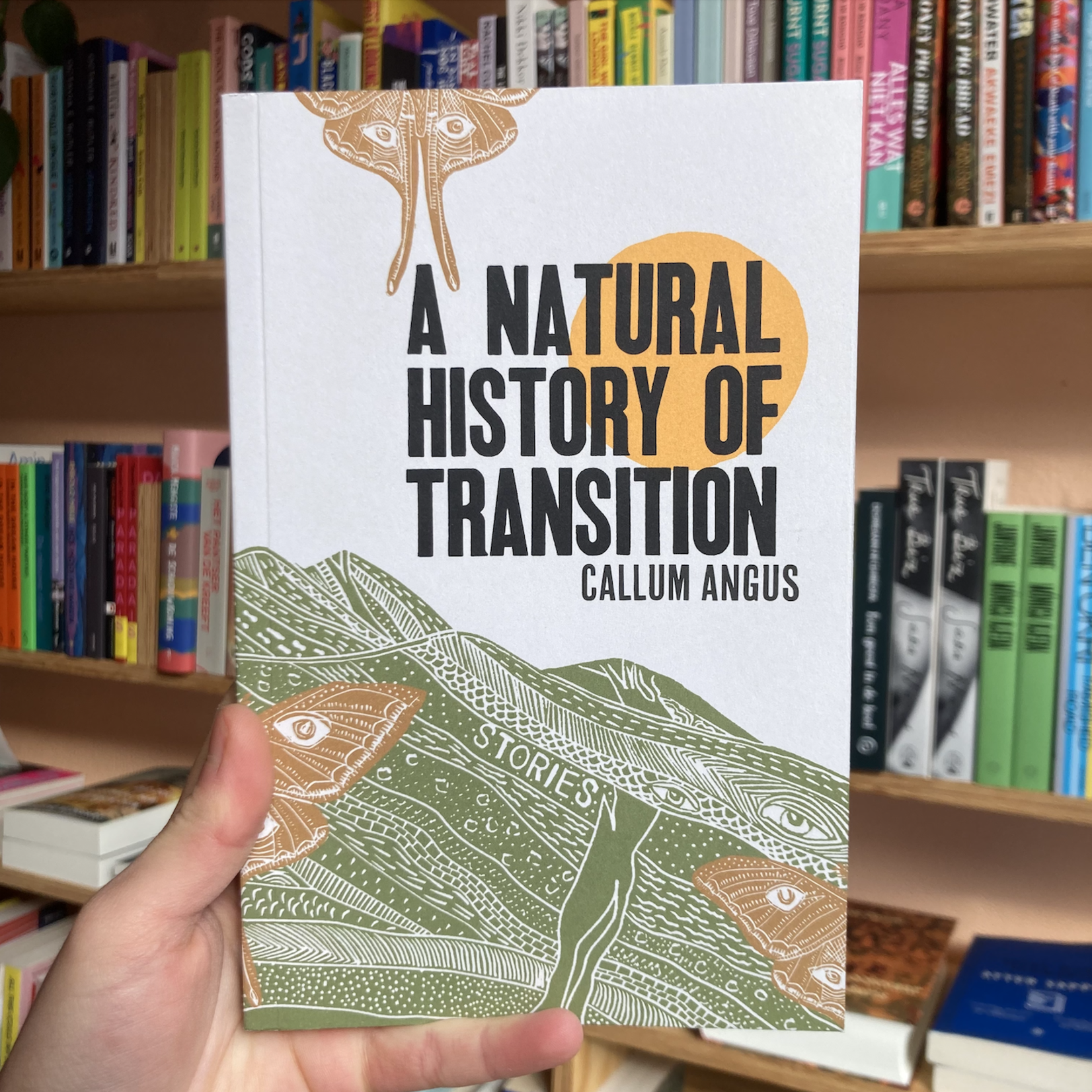 Callum Angus A Natural History of Transition - Callum Angus