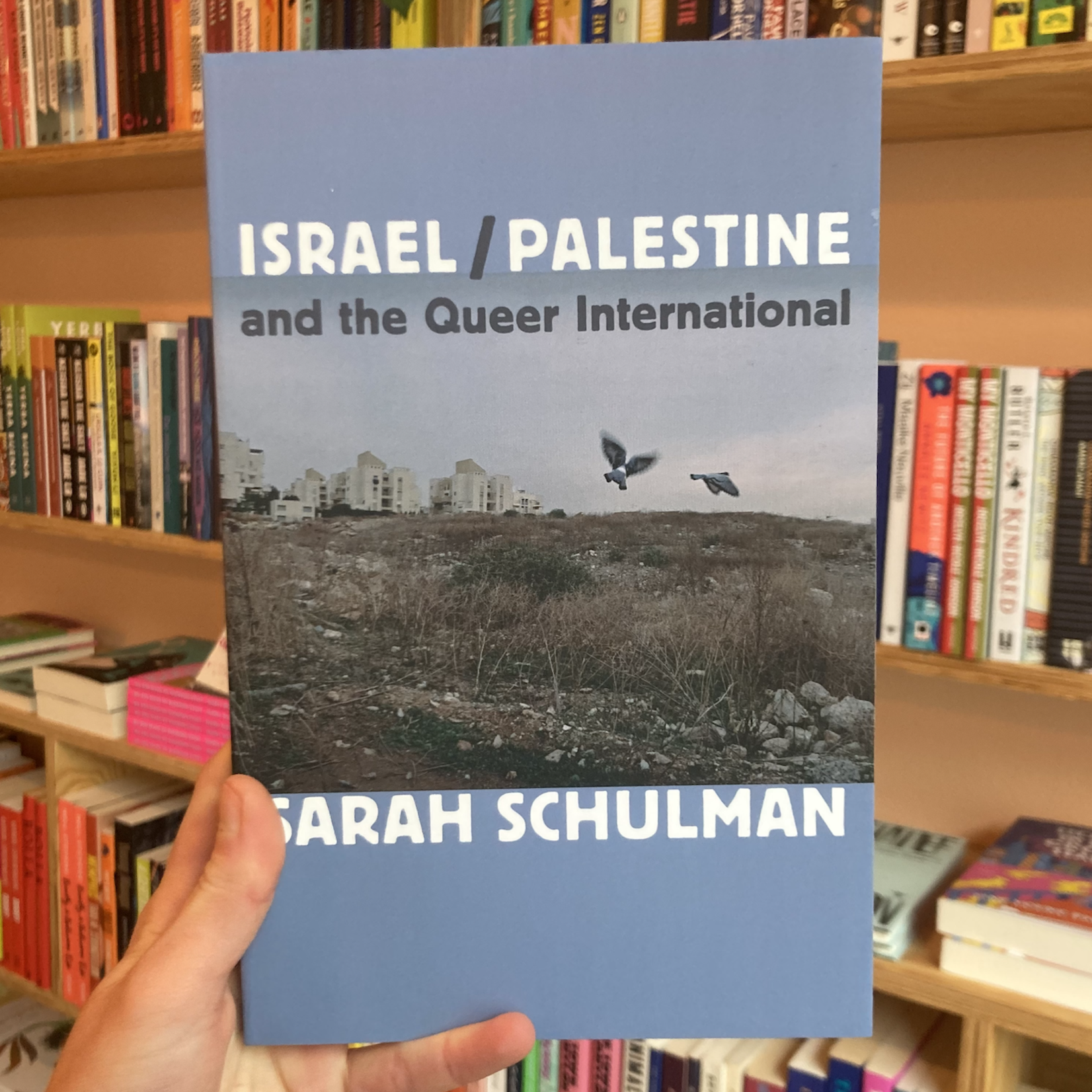 Sarah Schulman Israel/Palestine and the Queer International - Sarah Schulman
