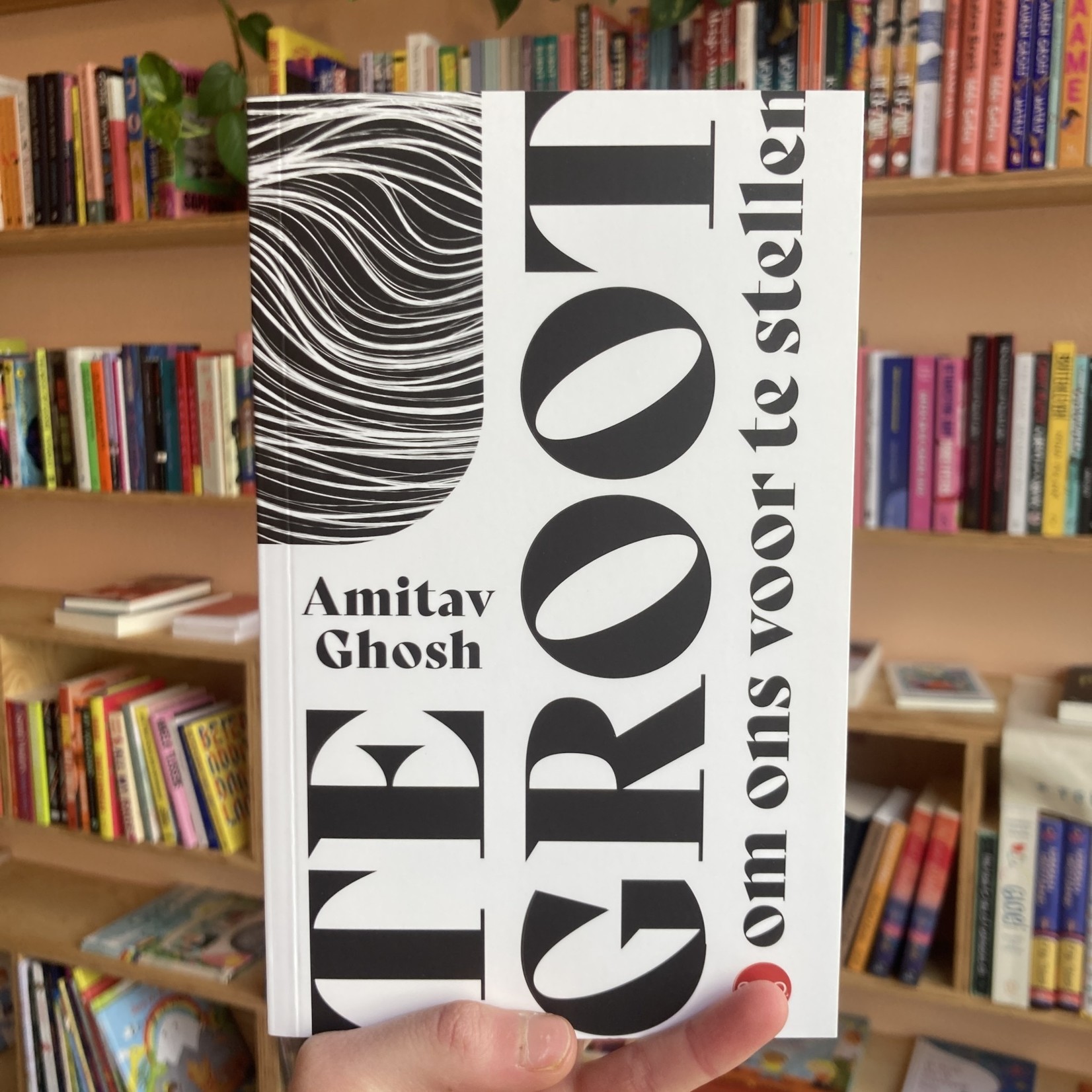 Te groot om ons voor te stellen - Amitav Ghosh