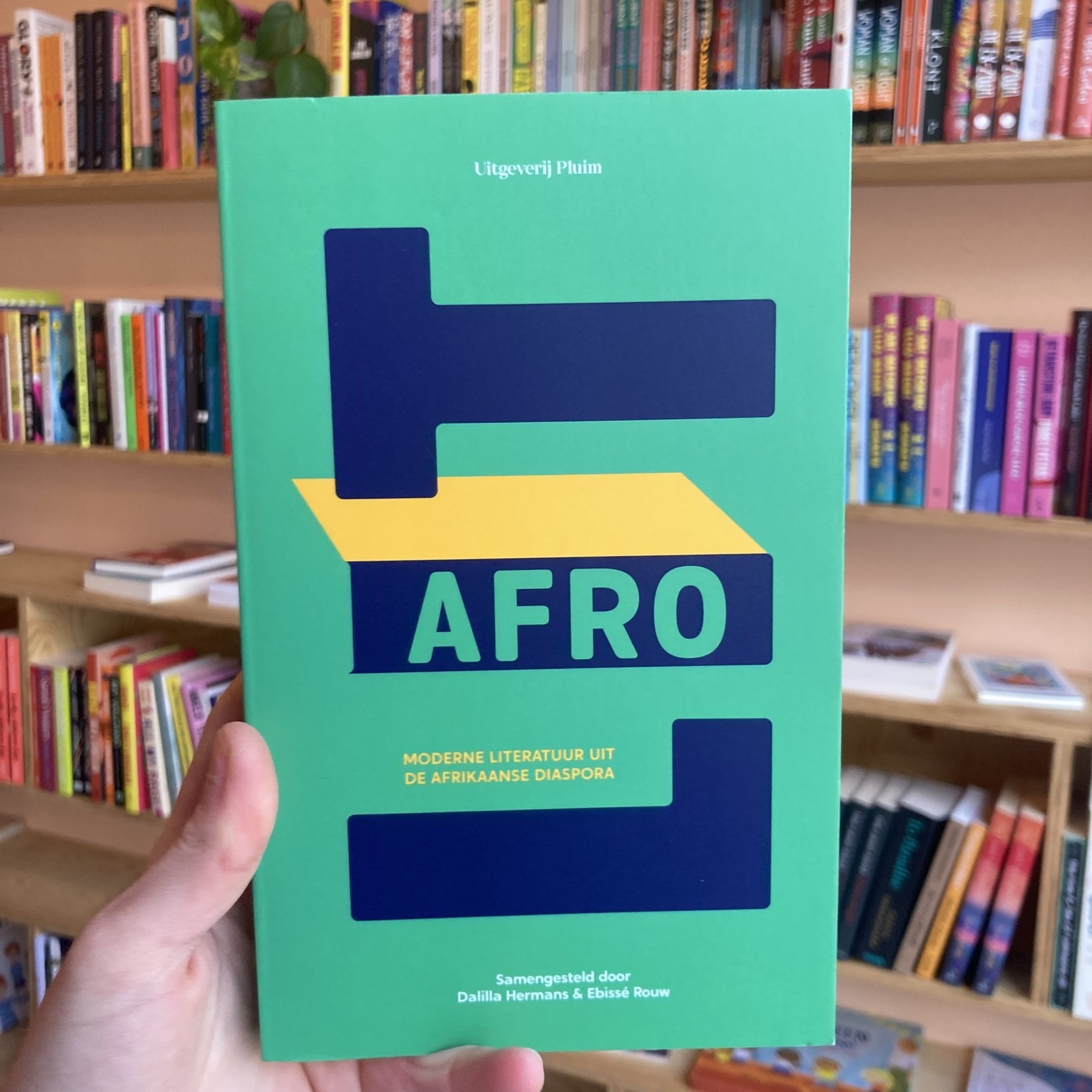 Dalilla Hermans & Ebissé Rouw AfroLit: Moderne literatuur uit de Afrikaanse diaspora - Dalilla Hermans &   Ebissé Rouw