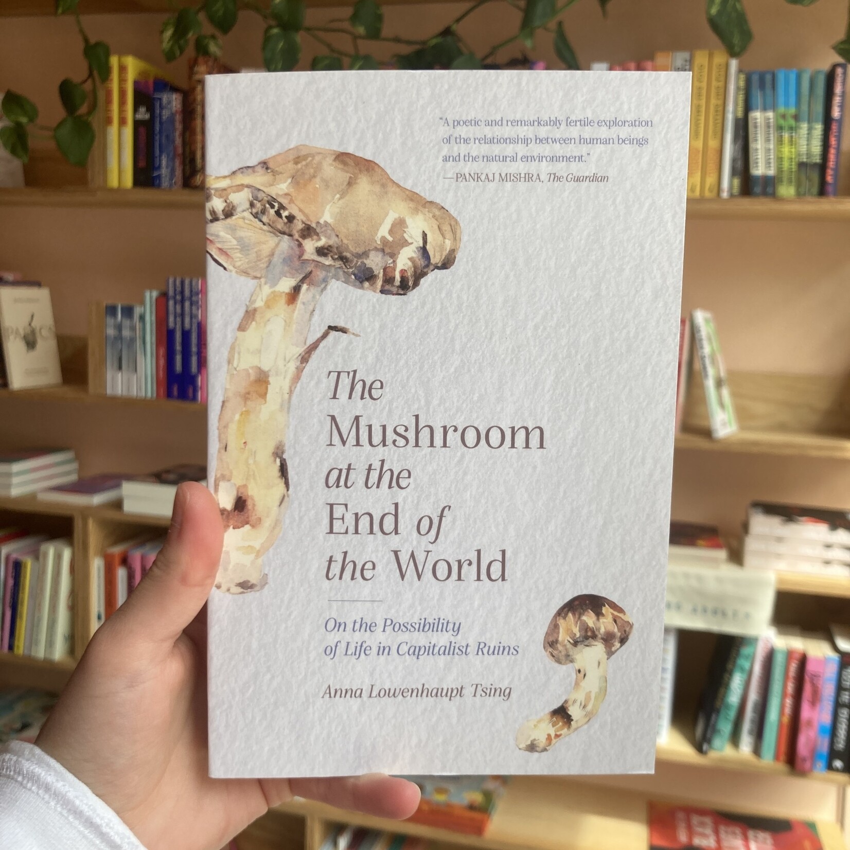 Anna Lowenhaupt Tsing The Mushroom at the End of the World : On the Possibility of Life in Capitalist Ruins - Anna Lowenhaupt Tsing