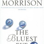 Toni Morrison The Bluest Eye (blauwe cover)