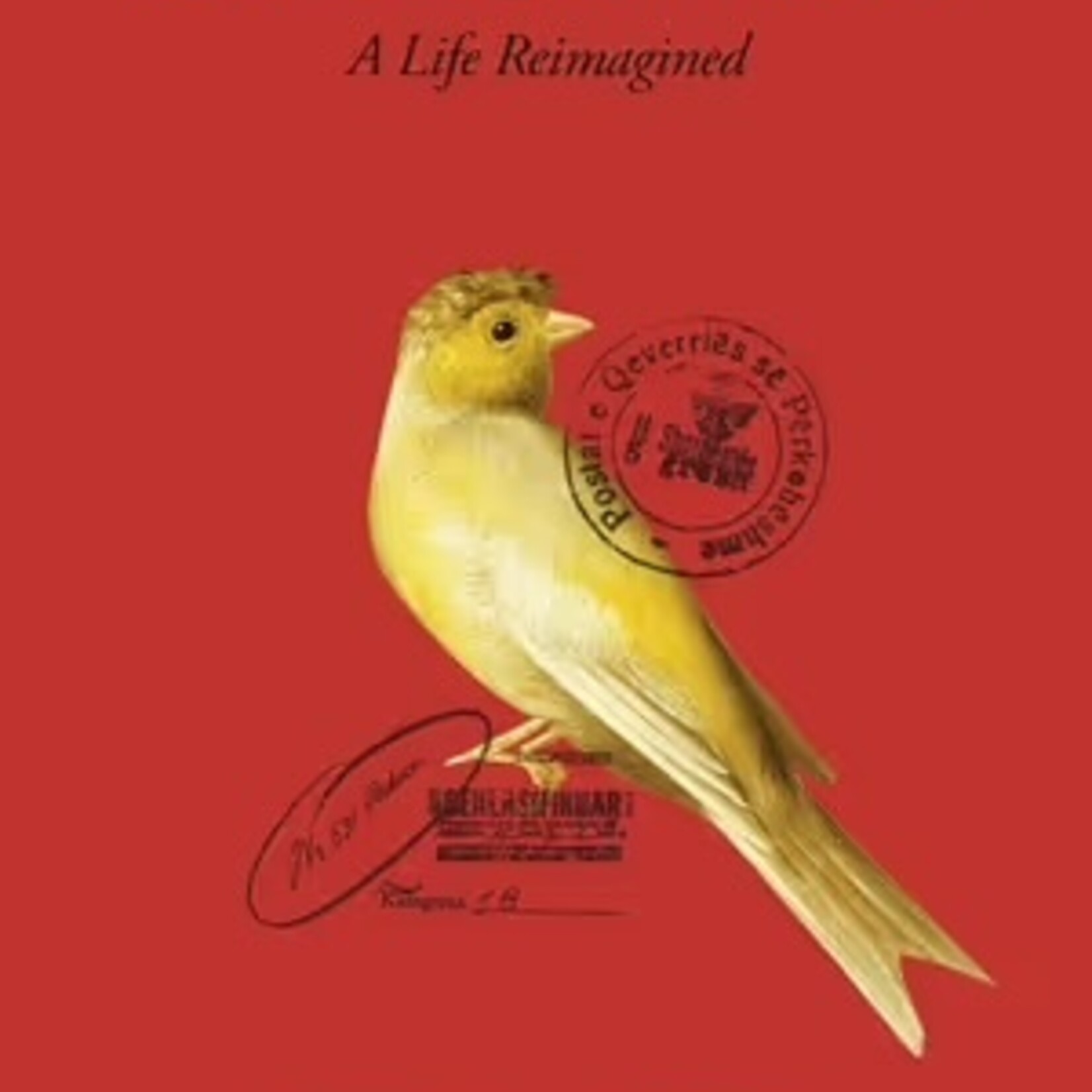 Lea Ypi Indignity : A Life Reimagined (paperback)