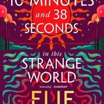 Elif Shafak 10 Minutes 38 Seconds in this Strange World