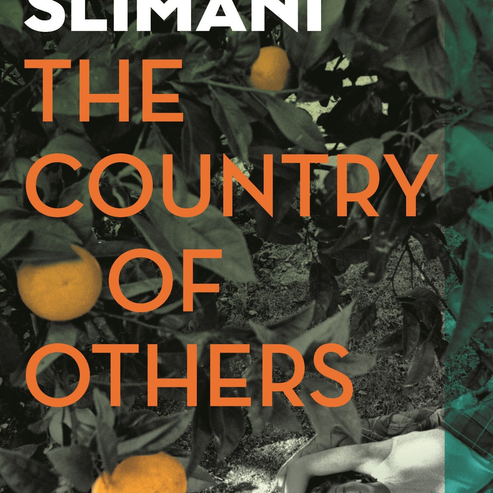 Leïla Slimani The Country of Others