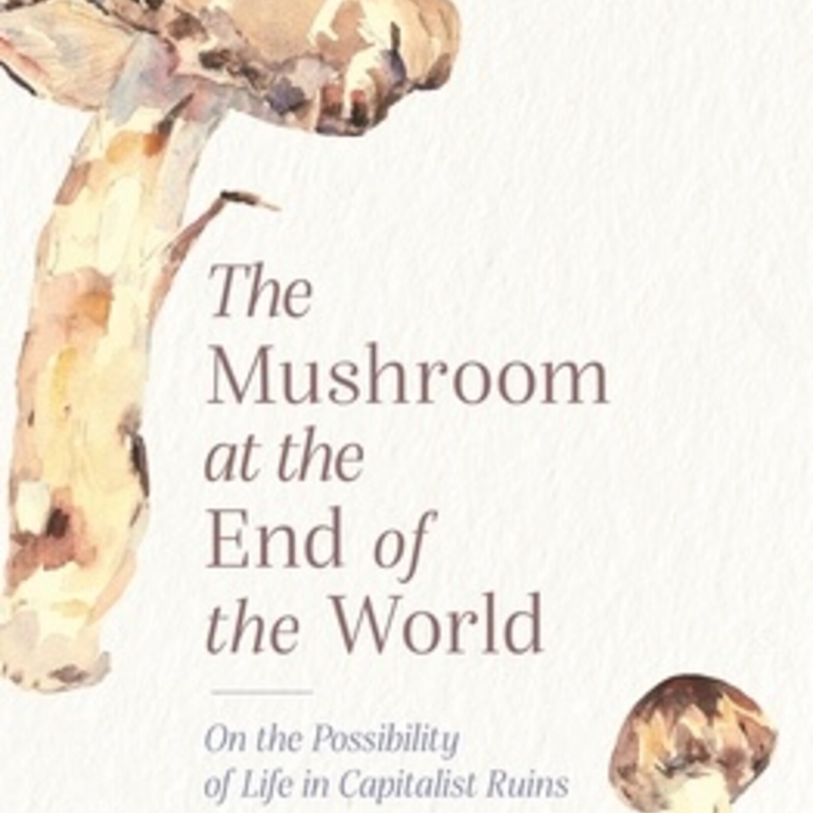Anna Lowenhaupt Tsing The Mushroom at the End of the World : On the Possibility of Life in Capitalist Ruins - Anna Lowenhaupt Tsing