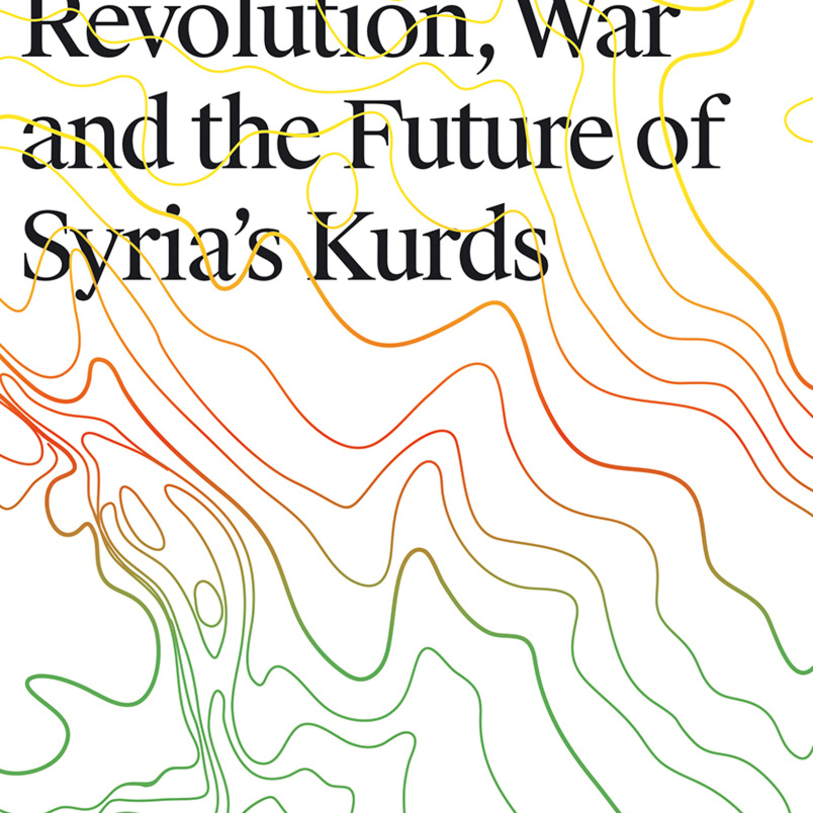 Thomas Schmidinger Rojava : Revolution, War and the Future of Syria's Kurds